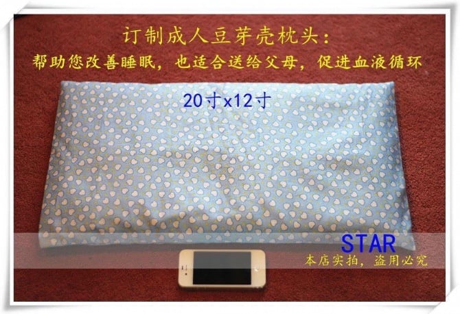 20"x12" bean pillow