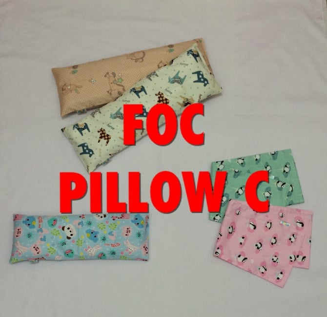 Nov promotion foc pillow C